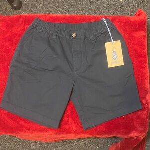 Chubbies Men's Dark Blue Flat Front Shorts
